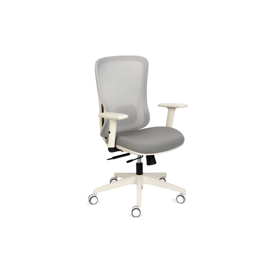 Ava Grey Arms - Ergonomic Mesh Task Chair – Synchronized Mechanism, Seat Slide, Modern Design