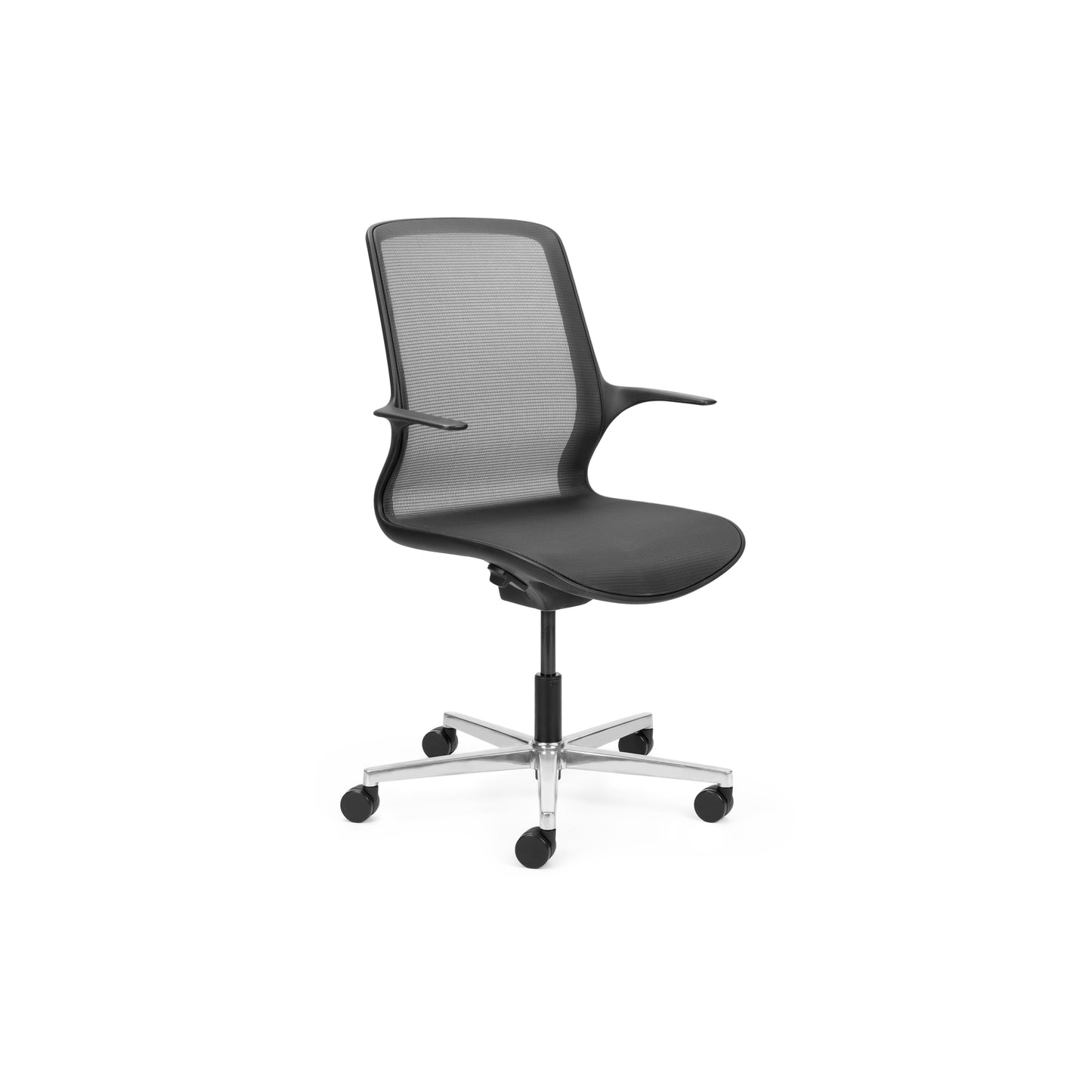 Ovidio Flat-5 Polished